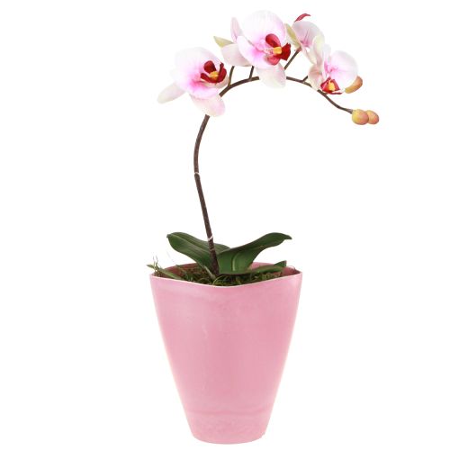 Blomsterpotte plastvase orkidepotte rosa H16,5cm 4stk