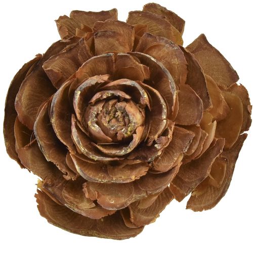 gjenstander Kegler av sedertre kuttet som en rosesederrose 4-6cm naturlig 50stk.