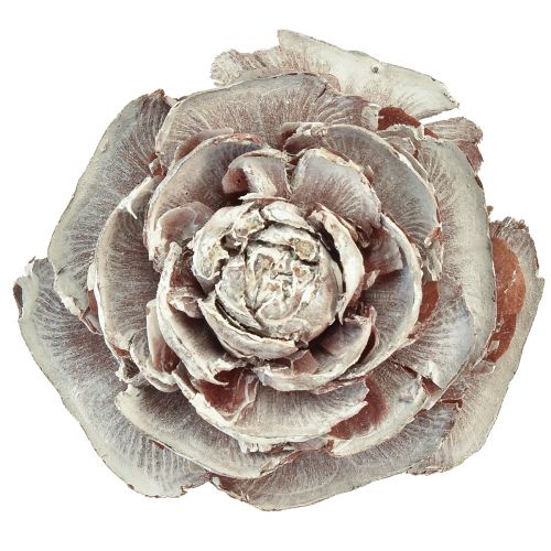gjenstander Cedar kjegler kuttet som rose Cedar rose 4-6cm hvit/naturlig 50 stk