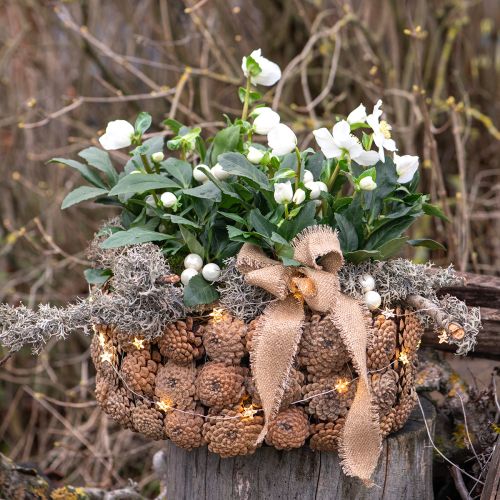 gjenstander Dekorativ skål kongler i naturbrun Ø35cm H15cm