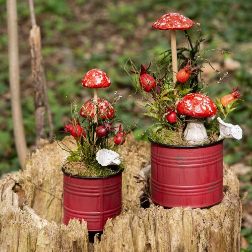 Floristik24 Paddehatter på pinne, rød, 5,5 cm, sett med 6 - dekorativ høstsopp for hagen og hjemmet