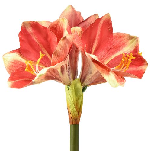 gjenstander Kunstig Amaryllis Rosa og Krem – Stor stilkblomst 76cm