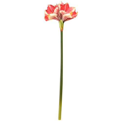 gjenstander Kunstig Amaryllis Rosa og Krem – Stor stilkblomst 76cm