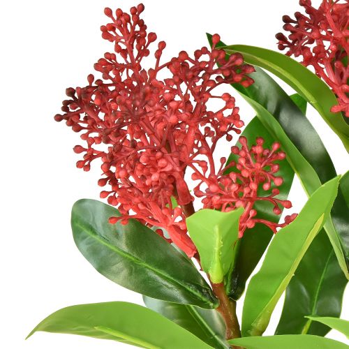 gjenstander Kunstige blomster røde Skimmia japonica Skimmie 45cm 2stk