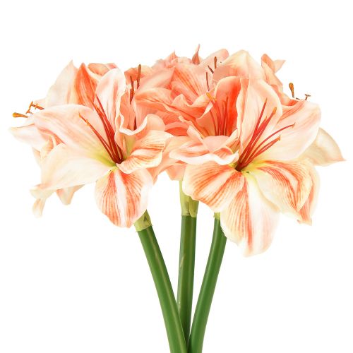 Floristik24 Kunstig ridderstjerne Kunstige blomster Hvit Rød Oransje Amaryllis 40cm 3stk