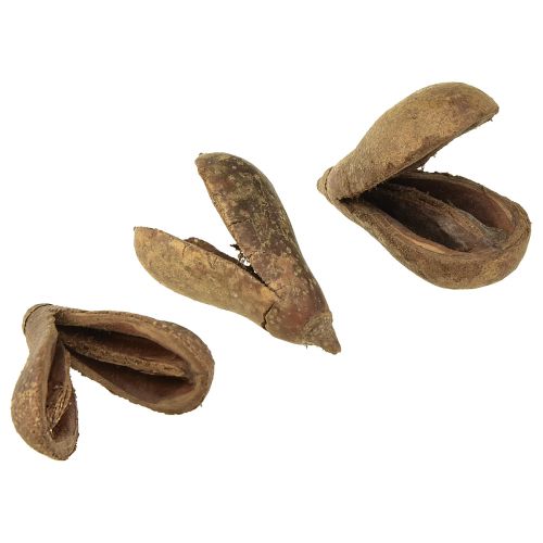 gjenstander Mike Fruit Natural Materials Bagon Fruit Natural 8cm 50stk