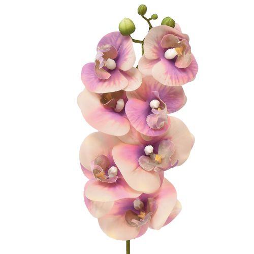 gjenstander Orchid Phalaenopsis kunstig 7 blomster lilla krem 73cm