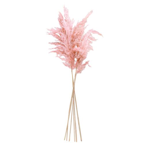 gjenstander Pampas gress tørket rosa tørr blomsterdekor 65-75 cm 6 stk i en haug