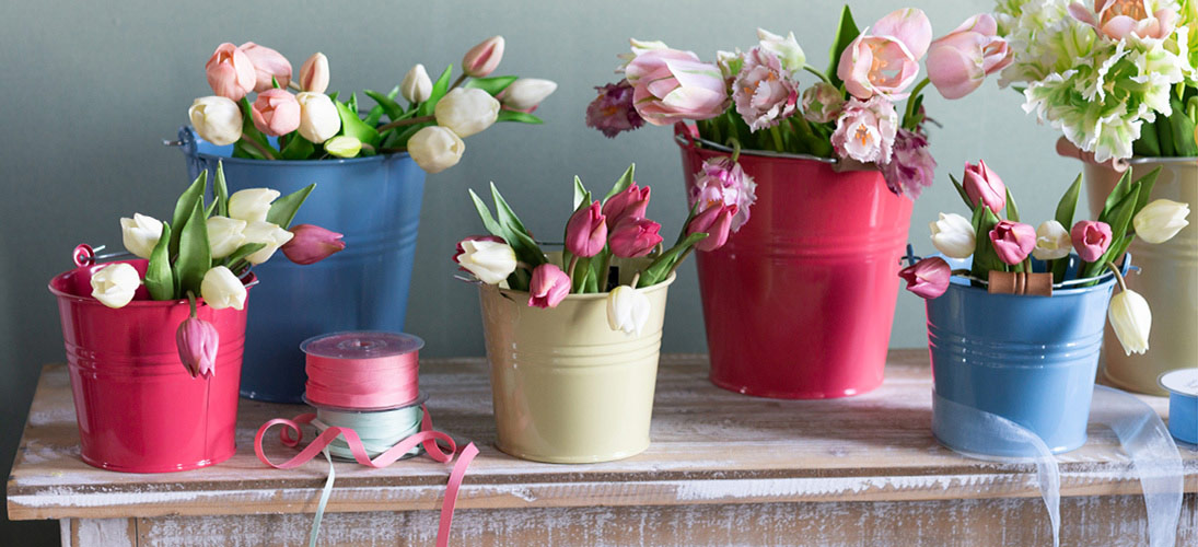 Hageblomst & engblomst