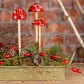 Floristik24 Paddehatter på pinne, rød, 4 cm, sett med 6 - dekorativ hagesopp til høstdekorasjon