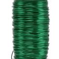Floristik24 Deco Emaljert Wire Grønn Ø0,50mm 50m 100g