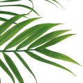 Floristik24 Kunstige palmeblader Kunstige grønne planter 56cm 3stk