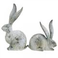 Floristik24 Dekorativ kanin, hagefigur i betonglook, shabby chic, påskedekorasjon med sølvdetaljer H21/14cm sett med 2