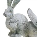 Floristik24 Dekorativ kanin, hagefigur i betonglook, shabby chic, påskedekorasjon med sølvdetaljer H21/14cm sett med 2