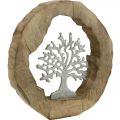 Floristik24 Deco skulptur tre i en tre ring bord dekorasjon for å plassere 22×21×4cm