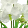 Floristik24 Kunstige orkideer kunstige blomster i en gryte hvit 60cm