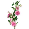 Floristik24 Rose gren silke roser kunstig gren roser rosa krem 79cm