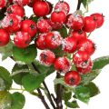 Floristik24 Julegrener med røde bær, vinterpynt, harpebærrød snødd L58cm