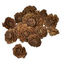Floristik24 Kegler av sedertre kuttet som en rosesederrose 4-6cm naturlig 50stk.