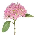 Floristik24 Hortensia kunstrosa kunstblomst rosa Ø15,5cm 45cm