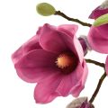 Floristik24 Kunstig blomst magnolia gren, magnolia rosa 92cm
