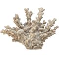 Floristik24 Detaljert koralldekorasjon laget av polyresin i grått - 26 cm - maritim eleganse for ditt hjem