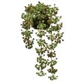 Floristik24 Grønn plante kunstig perlesnor i mosekule 38cm