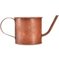 Floristik24 Rust dekorativ vannkanne mini plantepotte metall Ø10cm H9cm